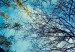 Poster Autumn sky [Poster] Horizontal 132520 additionalThumb 11