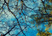 Poster Autumn sky [Poster] Horizontal 132520 additionalThumb 12