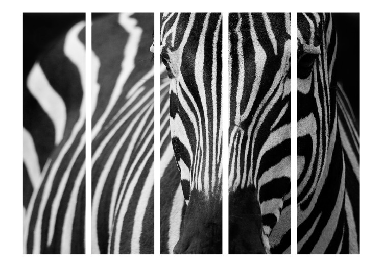 Room Divider Screen White on Black Stripes II (5-piece) - zebra in unusual frame 133320 additionalImage 3