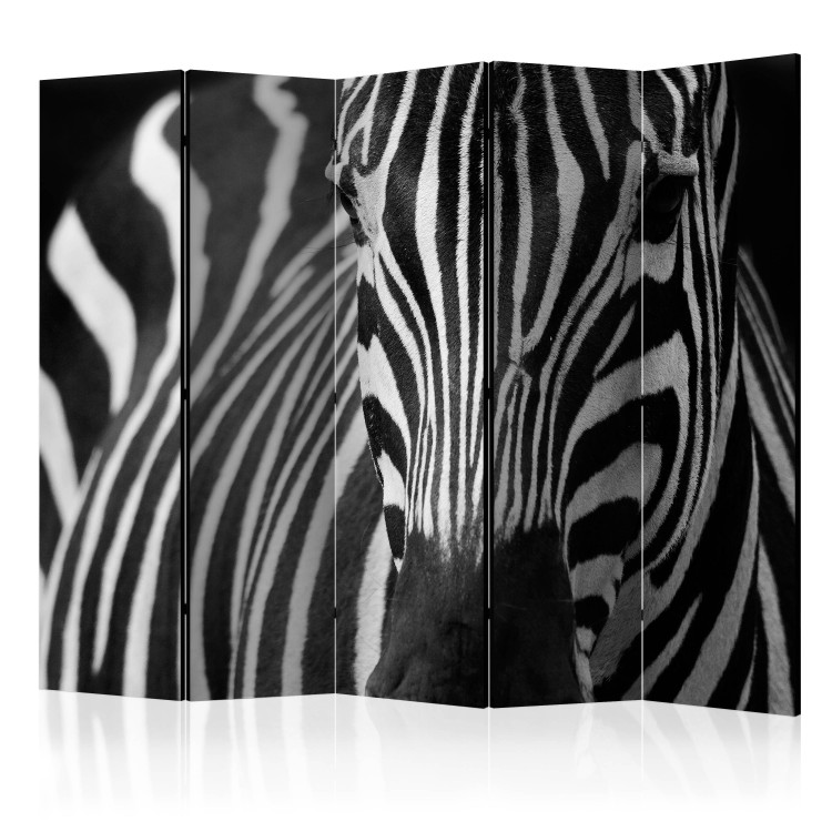 Room Divider Screen White on Black Stripes II (5-piece) - zebra in unusual frame 133320