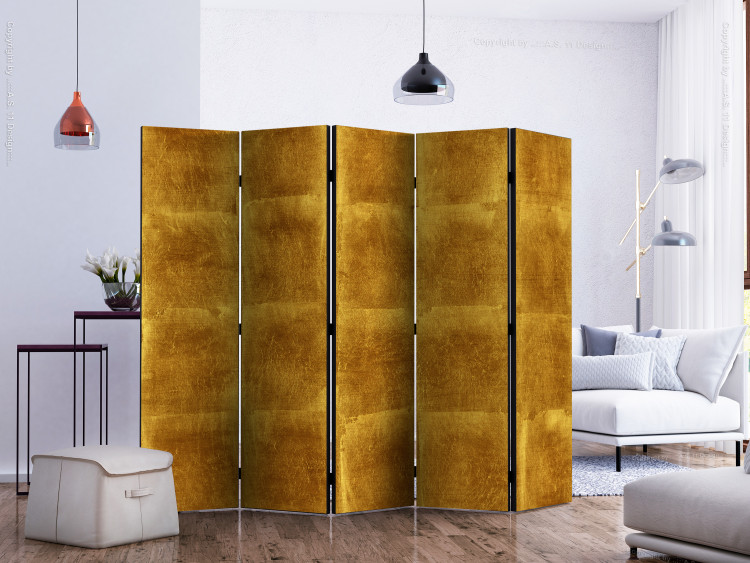 Room Divider Screen Golden Cage II - golden texture with darker hue glow 133620 additionalImage 2