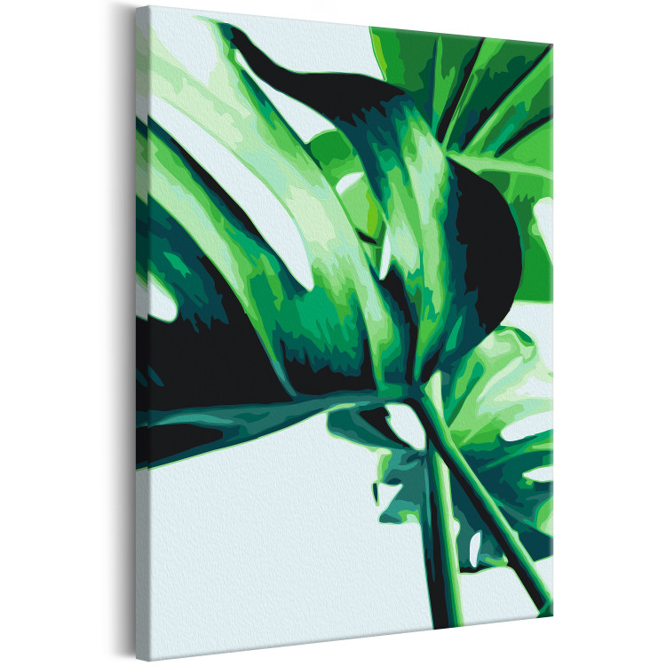Paint by Number Kit Monstera Adansonii 134520 additionalImage 5