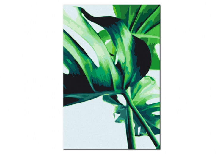 Paint by Number Kit Monstera Adansonii 134520 additionalImage 6