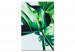 Paint by Number Kit Monstera Adansonii 134520 additionalThumb 6