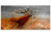 Large canvas print Roaring Deer II [Large Format] 137620