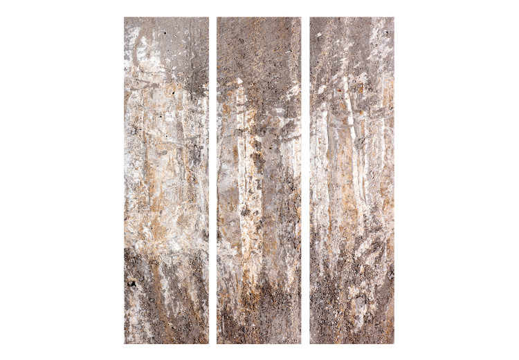 Room Divider Abstract Forest (3-piece) - Composition with a non-uniform texture 138520 additionalImage 3