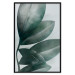Wall Poster Olive Leaves - plant composition of green leaves on a light background 142320 additionalThumb 10