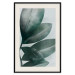 Wall Poster Olive Leaves - plant composition of green leaves on a light background 142320 additionalThumb 14