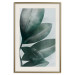 Wall Poster Olive Leaves - plant composition of green leaves on a light background 142320 additionalThumb 13