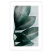 Wall Poster Olive Leaves - plant composition of green leaves on a light background 142320 additionalThumb 12