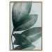 Wall Poster Olive Leaves - plant composition of green leaves on a light background 142320 additionalThumb 16