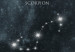 Poster Stars - Constellations With the Names of the Signs of the Zodiac in the Picturesque Cosmos 145320 additionalThumb 3