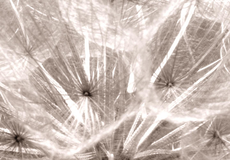 Round Canvas Delicate Fluff - Photo of a Dandelion in Sepia Colors 148620 additionalImage 2