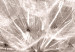 Round Canvas Delicate Fluff - Photo of a Dandelion in Sepia Colors 148620 additionalThumb 2