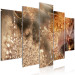 Canvas Nature and Dew - Photo of Dandelions in Warm Colors 149920 additionalThumb 2