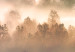 Canvas Art Print Forest in Mist - Mountainous Landscape With Trees at Sunrise 151820 additionalThumb 4