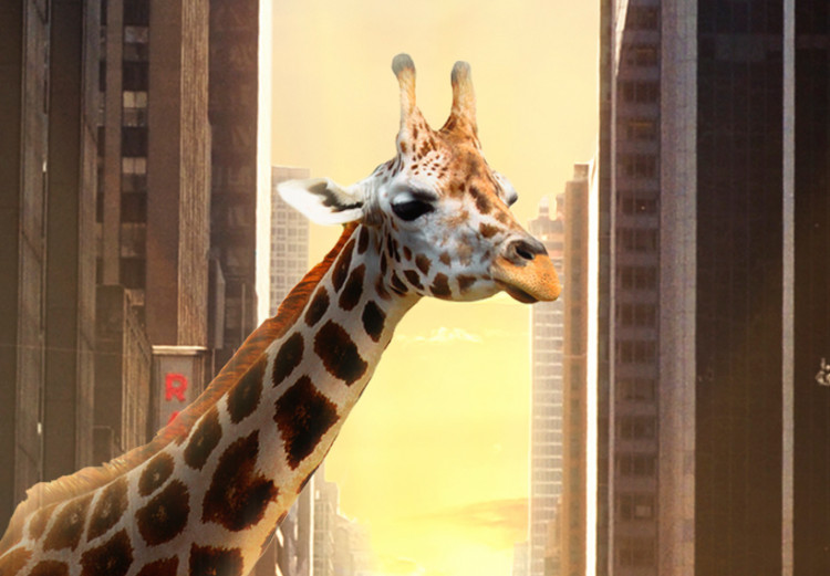 Canvas Art Print Giraffe in the big city 55720 additionalImage 4