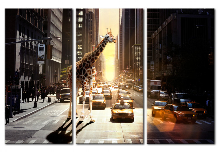 Canvas Art Print Giraffe in the big city 55720