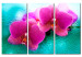 Canvas Art Print Turquoise and orchid 58720