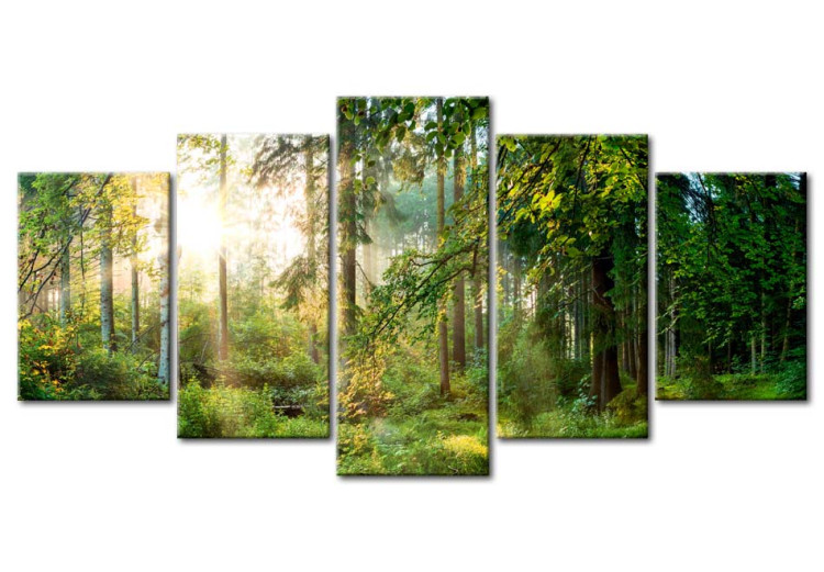 Print On Glass Green Sanctuary [Glass] 92520 additionalImage 2