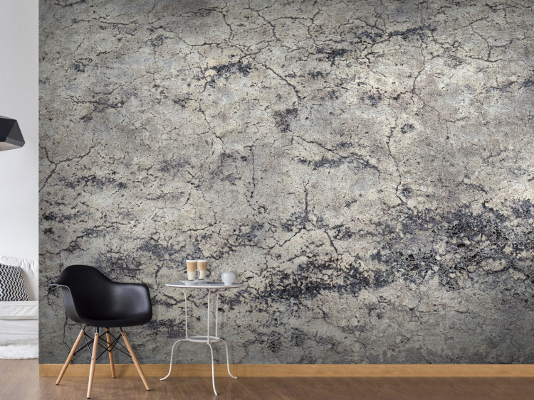 Wall Mural Grey lady - minimalist background with concrete texture with cracks 93120