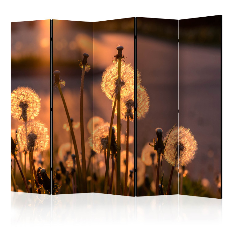 Folding Screen Farewell to Summer II - dandelion against the backdrop of an orange sunset 95420