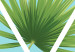 Poster Geometric palm - abstract composition with leaves on a triangle background 114330 additionalThumb 9