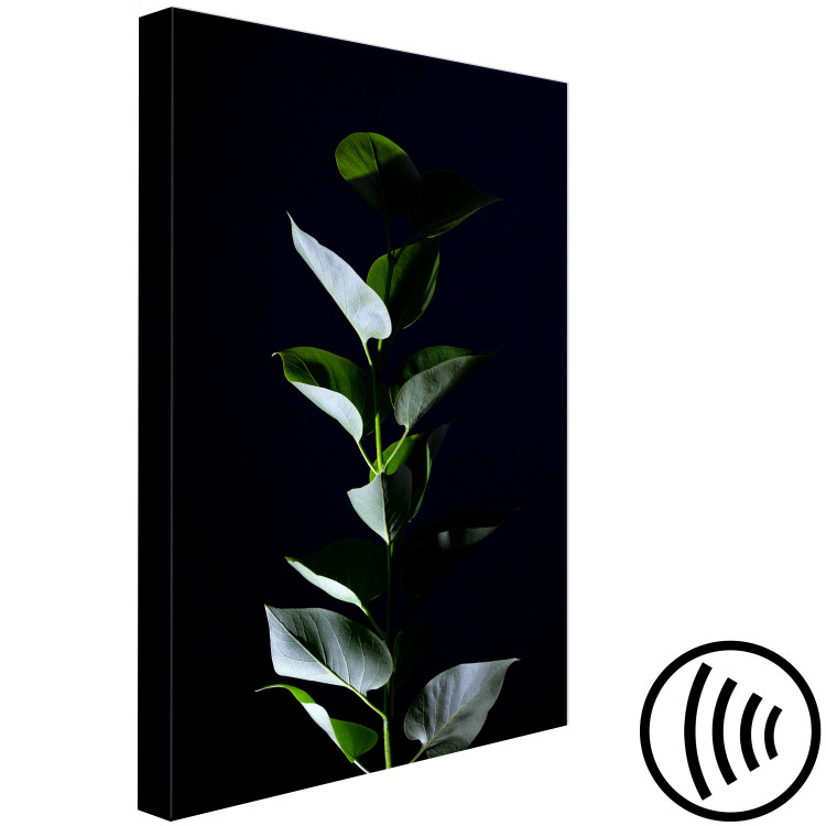 Canvas Print In the garden at night - photo of leaves on a black background 121630 additionalImage 6