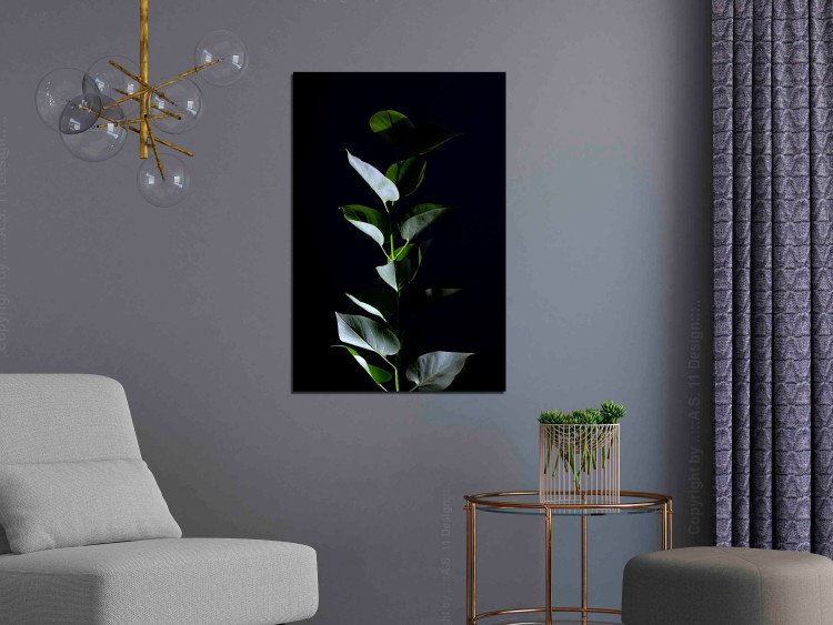 Canvas Print In the garden at night - photo of leaves on a black background 121630 additionalImage 3
