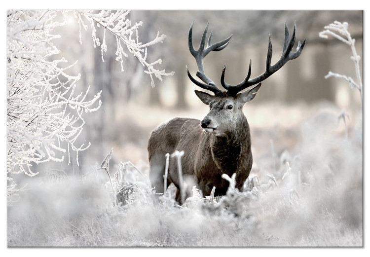Large canvas print Lonely Deer [Large Format] 125530