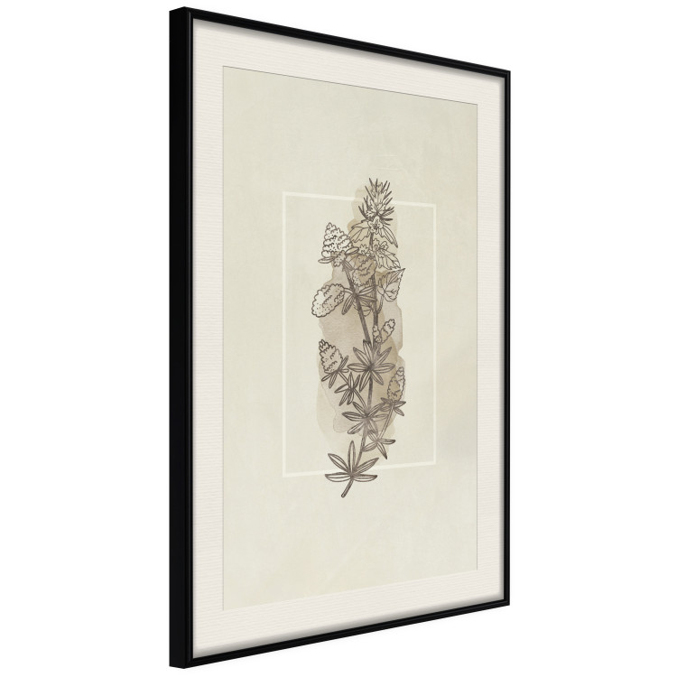 Wall Poster Field Sketch - plant with flowers on a light beige background in a retro motif 125730 additionalImage 3