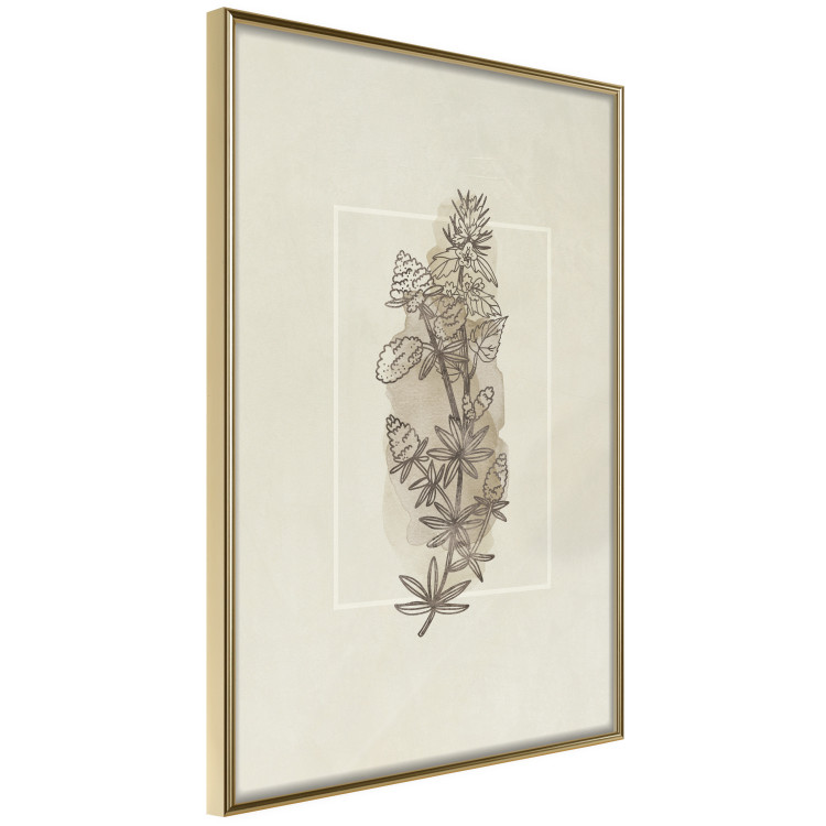Wall Poster Field Sketch - plant with flowers on a light beige background in a retro motif 125730 additionalImage 14