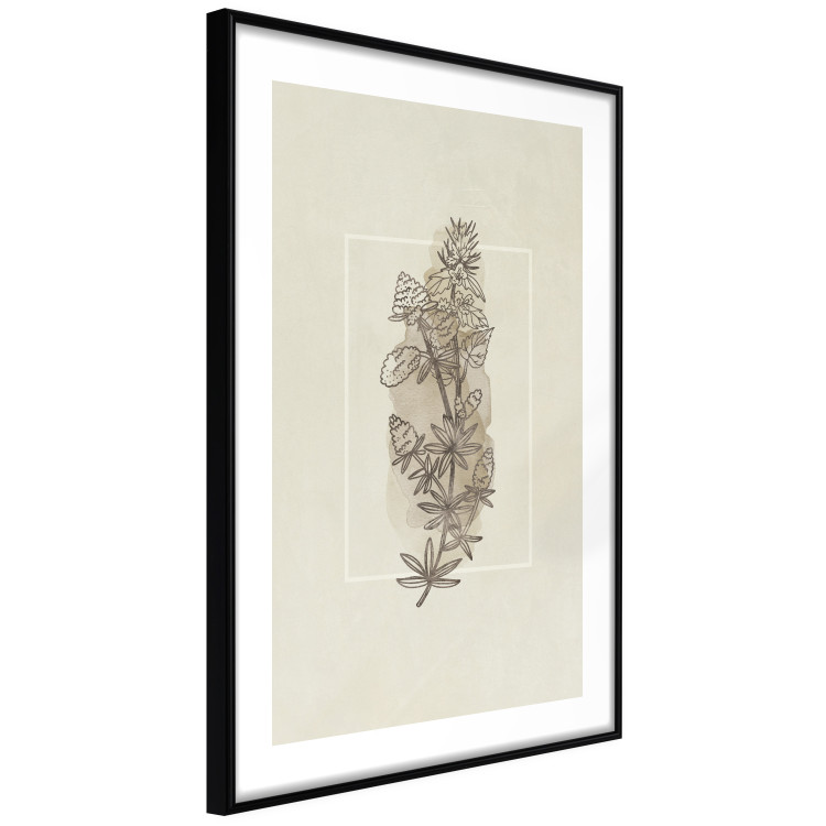 Wall Poster Field Sketch - plant with flowers on a light beige background in a retro motif 125730 additionalImage 13