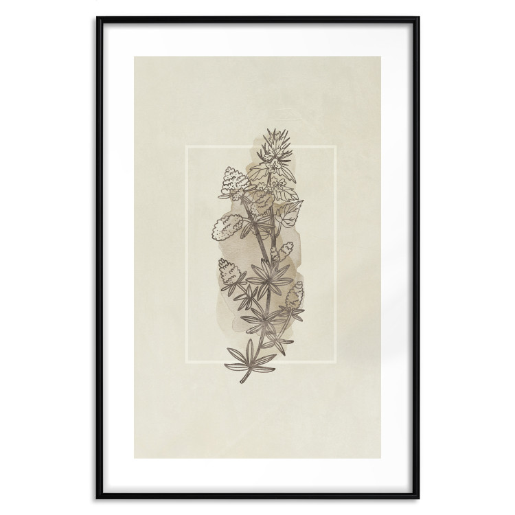 Wall Poster Field Sketch - plant with flowers on a light beige background in a retro motif 125730 additionalImage 17