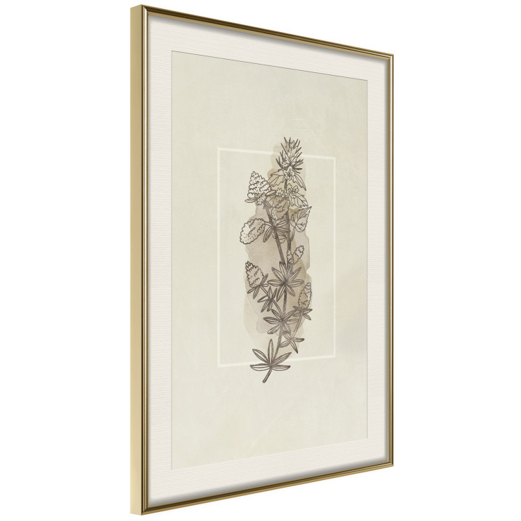 Wall Poster Field Sketch - plant with flowers on a light beige background in a retro motif 125730 additionalImage 2