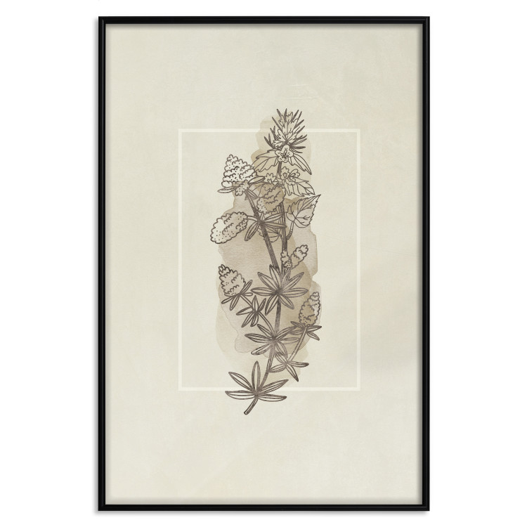 Wall Poster Field Sketch - plant with flowers on a light beige background in a retro motif 125730 additionalImage 24