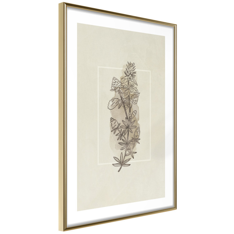Wall Poster Field Sketch - plant with flowers on a light beige background in a retro motif 125730 additionalImage 8