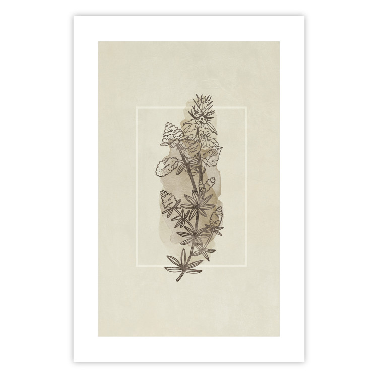Wall Poster Field Sketch - plant with flowers on a light beige background in a retro motif 125730 additionalImage 25