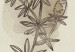 Wall Poster Field Sketch - plant with flowers on a light beige background in a retro motif 125730 additionalThumb 8