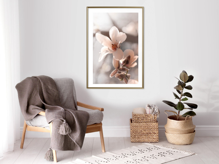 Poster Spring Light - light pink flower on spring composition background 127830 additionalImage 23