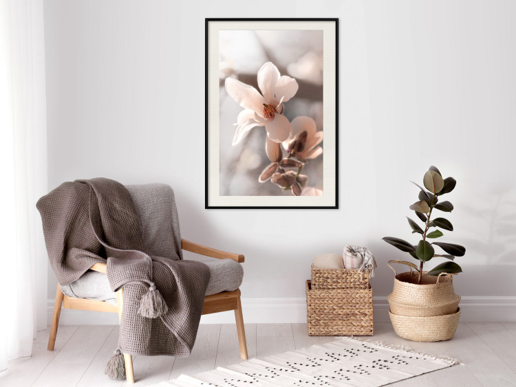 Poster Spring Light - light pink flower on spring composition background 127830 additionalImage 25