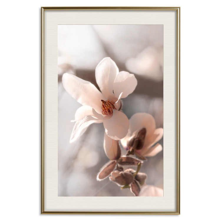 Poster Spring Light - light pink flower on spring composition background 127830 additionalImage 20