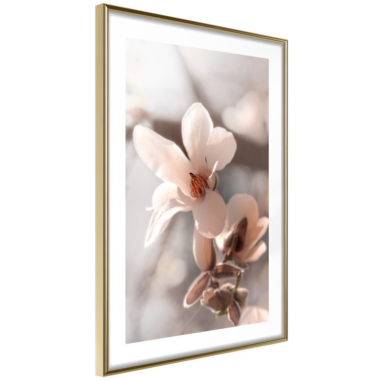 Poster Spring Light - light pink flower on spring composition background 127830 additionalImage 9