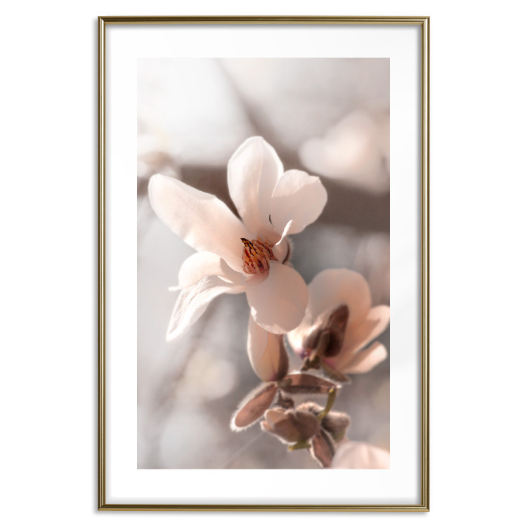 Poster Spring Light - light pink flower on spring composition background 127830 additionalImage 15