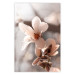 Poster Spring Light - light pink flower on spring composition background 127830