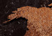 Canvas Copper Map (4-part) - world map with a rusted texture 128830 additionalThumb 4