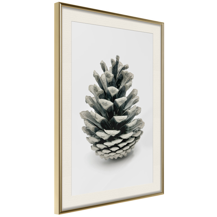 Wall Poster Open Nature - composition of a forest cone on a solid gray background 130730 additionalImage 3