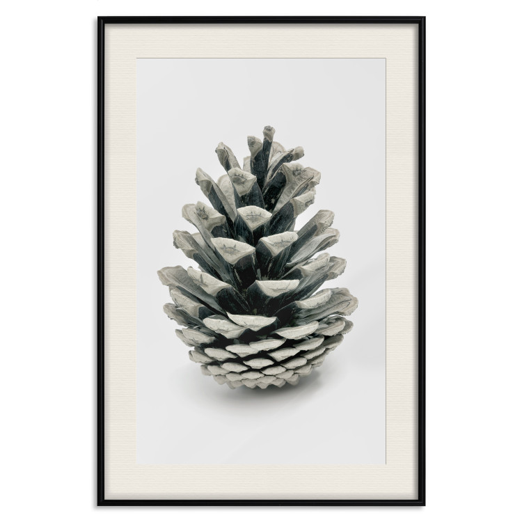 Wall Poster Open Nature - composition of a forest cone on a solid gray background 130730 additionalImage 19