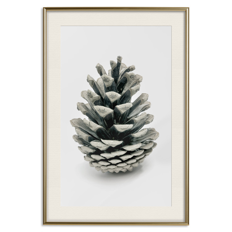 Wall Poster Open Nature - composition of a forest cone on a solid gray background 130730 additionalImage 20