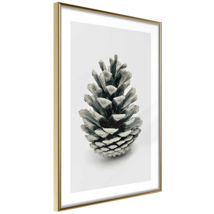 Wall Poster Open Nature - composition of a forest cone on a solid gray background 130730 additionalImage 7